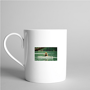 Bear Hunt: Paparazzi Mode Celebrity Bear Hunt Mugs
