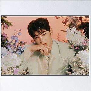 Cha Eun Woo - V2 Poster