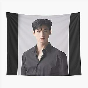 Cha Eun Woo - V9 Tapestry