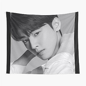 Cha Eun Woo - V7 Tapestry