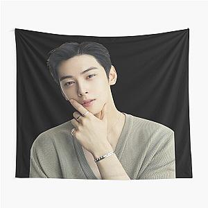 Cha Eun Woo - V22 Tapestry