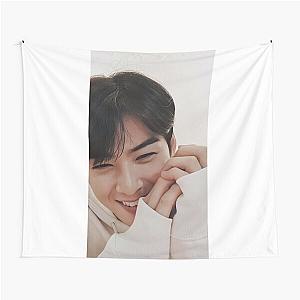 Cha Eun Woo - V15 Tapestry