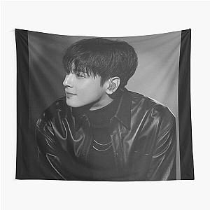 Cha Eun Woo - V11 Tapestry