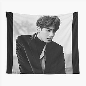 Cha Eun Woo - V12 Tapestry