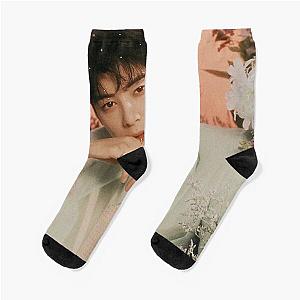 Cha Eun Woo - V2 Socks