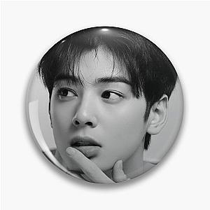 Cha Eun Woo - V4 Pin