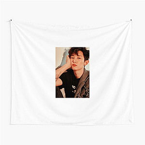 Chanyeol Rapper Vocals Producer Chanyeol Tapestries