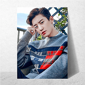 Chanyeol EXO Power Chanyeol Posters