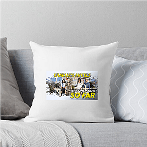 Charlie's Angels Angels Have Wings Charlie's Angels Pillows Cover
