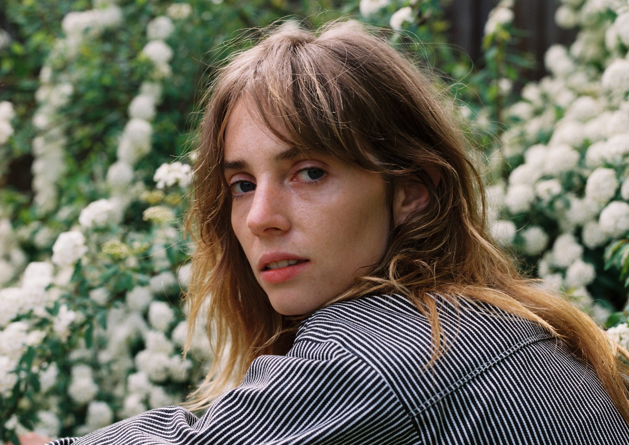Maya Hawke Rising Star or Hollywood Royalty?