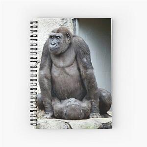 Child's Play Spiral Notebook