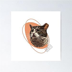 Clipped eared kitty: Rescue cat Poster