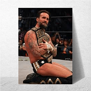 Promo Master CM Punk Cm Punk Posters