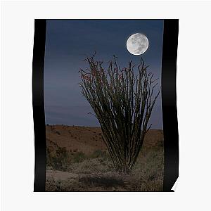 Desert Coral Cactus in Moonlight Coachella Preserve   Poster RB2410