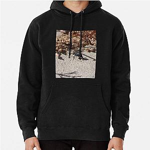 Black Blister Beetle Coachella Preserve   Pullover Hoodie RB2410