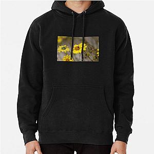 Beetle on Brittle Bush Coachella Preserve   Pullover Hoodie RB2410