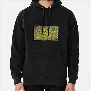 Brittle Bush 3 At Coachella Wildlife Preserve   Pullover Hoodie RB2410