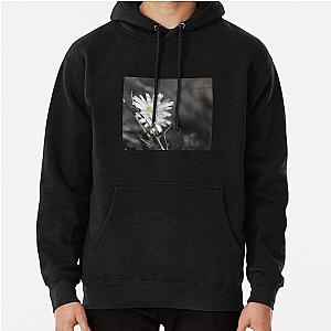 Desert Chicory Coachella Valley Wildlife Preserve   Pullover Hoodie RB2410