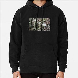 Desert Chicory Coachella Wildlife Preserve   Pullover Hoodie RB2410