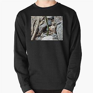 Nature is Art in Coachella Valley Wildlife Preserve   Pullover Sweatshirt RB2410