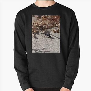 Black Blister Beetle Coachella Preserve   Pullover Sweatshirt RB2410