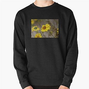 Beetle on Brittle Bush Coachella Preserve   Pullover Sweatshirt RB2410