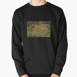 Brittle Bush 4 At Coachella Wildlife Preserve   Pullover Sweatshirt RB2410