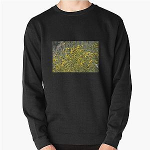 Brittle Bush 3 At Coachella Wildlife Preserve   Pullover Sweatshirt RB2410