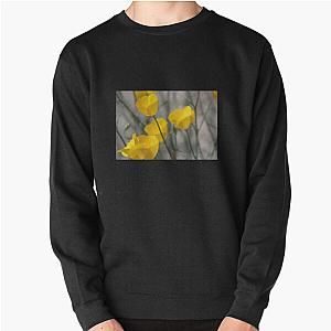 Closeup of California Poppies Coachella Wildlife Preserve   Pullover Sweatshirt RB2410