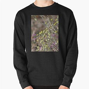 Desert Wildflowers and Gnat Coachella Preserve   Pullover Sweatshirt RB2410