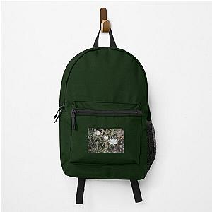 Desert Chicory Coachella Wildlife Preserve   Backpack RB2410