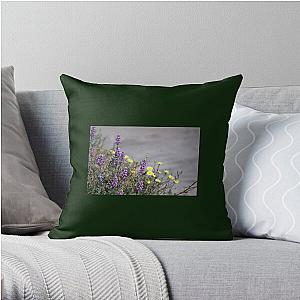 Arial Raid on Flowers Coachella Preserve   Throw Pillow RB2410