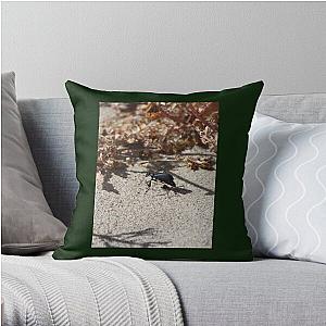 Black Blister Beetle Coachella Preserve   Throw Pillow RB2410