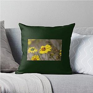 Beetle on Brittle Bush Coachella Preserve   Throw Pillow RB2410