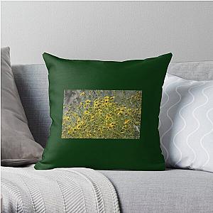 Brittle Bush 3 At Coachella Wildlife Preserve   Throw Pillow RB2410