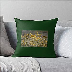 Brittle Bush 4 At Coachella Wildlife Preserve   Throw Pillow RB2410