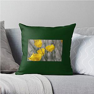 Closeup of California Poppies Coachella Wildlife Preserve   Throw Pillow RB2410