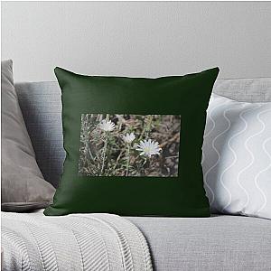 Desert Chicory Coachella Wildlife Preserve   Throw Pillow RB2410