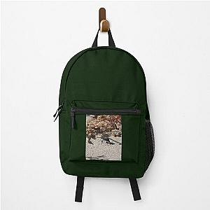 Black Blister Beetle Coachella Preserve   Backpack RB2410