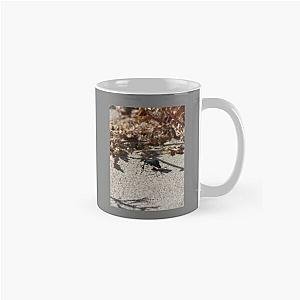 Black Blister Beetle Coachella Preserve   Classic Mug RB2410