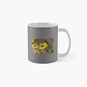 Beetle on Brittle Bush Coachella Preserve   Classic Mug RB2410