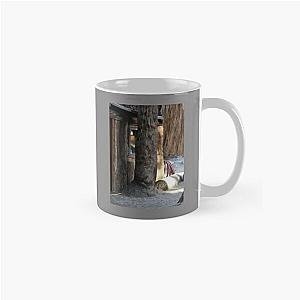 Cabin Behind Palm Trees Coachella Wildlife Preserve   Classic Mug RB2410