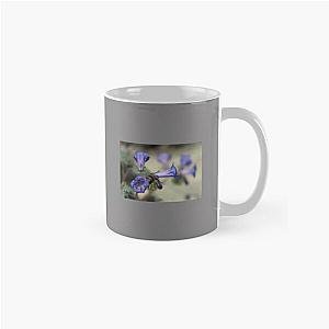 Canterbury Bell 2 Coachella Wildlife Preserve   Classic Mug RB2410