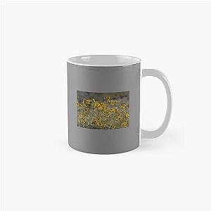 Brittle Bush 4 At Coachella Wildlife Preserve   Classic Mug RB2410