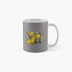 Closeup of California Poppies Coachella Wildlife Preserve   Classic Mug RB2410