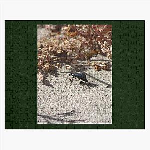 Black Blister Beetle Coachella Preserve   Jigsaw Puzzle RB2410