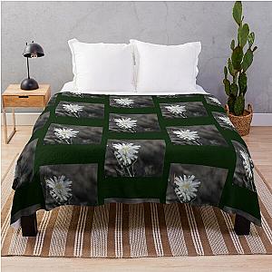 Desert Chicory Coachella Valley Wildlife Preserve   Throw Blanket RB2410