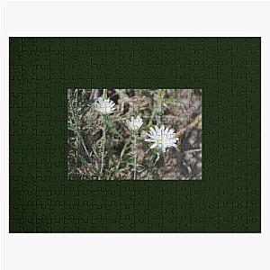 Desert Chicory Coachella Wildlife Preserve   Jigsaw Puzzle RB2410