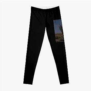 Desert Coral Cactus in Moonlight Coachella Preserve   Leggings RB2410