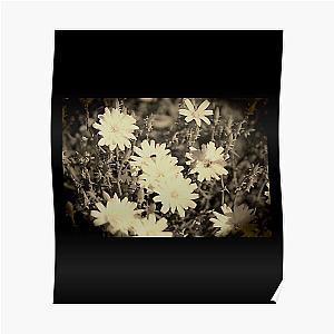 Desert Chicory Coachella Wildlife Preserve in Sepia   Poster RB2410